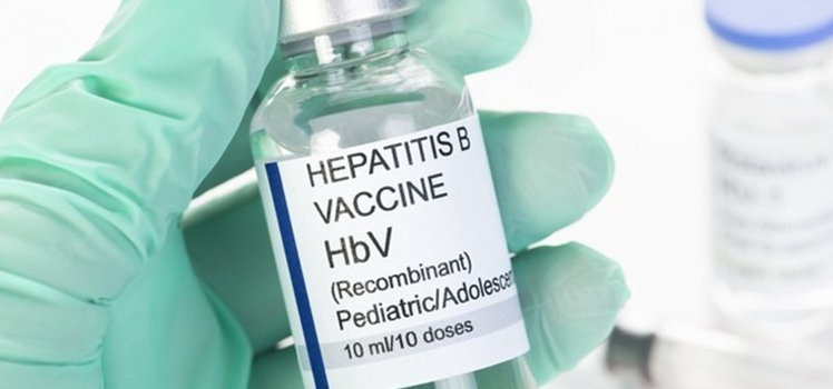 Является ли прививка от гепатита В взрослым обязательной