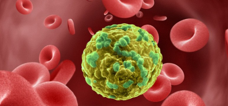 Люди с ВГС и ВИЧ-инфекцией эффективно лечатся Софосбувиром