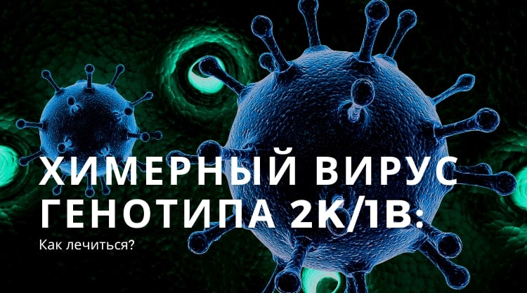 Химерный вирус генотипа 2k/1b и его лечение
