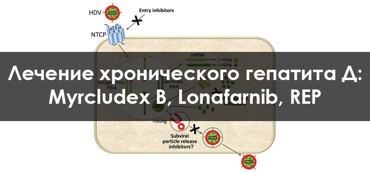 Лечение гепатита Д: Myrcludex B, Lonafarnib, REP