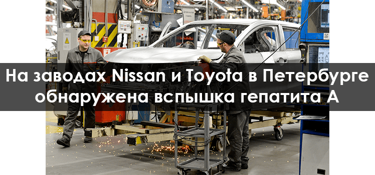 На заводах Nissan и Toyota в Петербурге обнаружена вспышка гепатита А