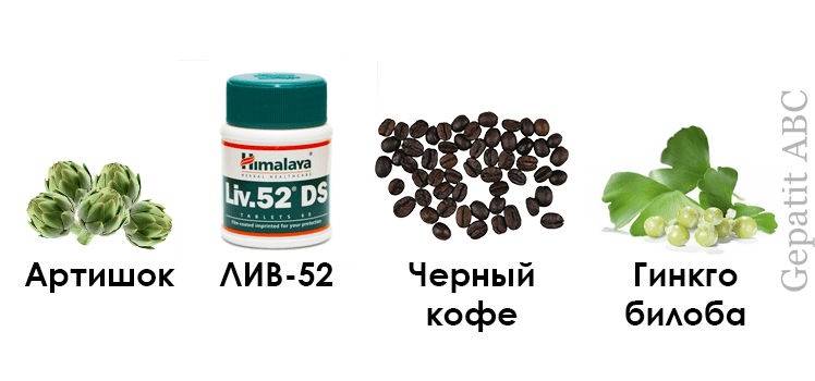 Артишок, ЛИВ 52, черный кофе, Гинкго билоба