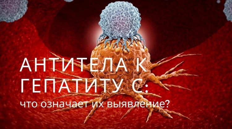 Антитела к гепатиту С: что означает их выявление?