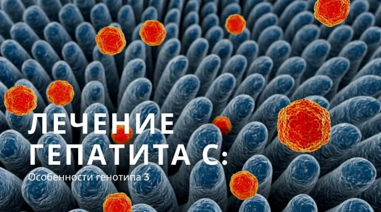 Лечение гепатита С: генотип 3