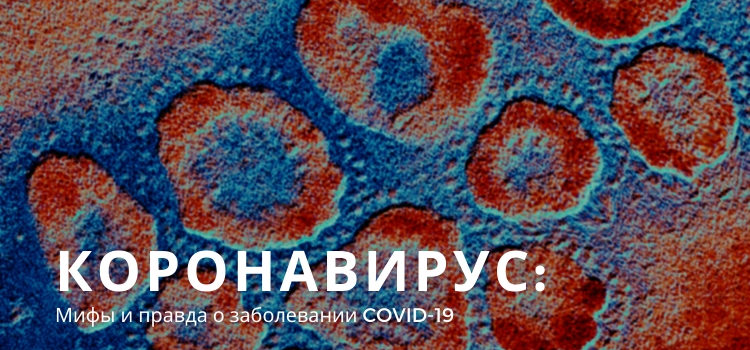 Коронавирус: мифы и правда о новом заболевании