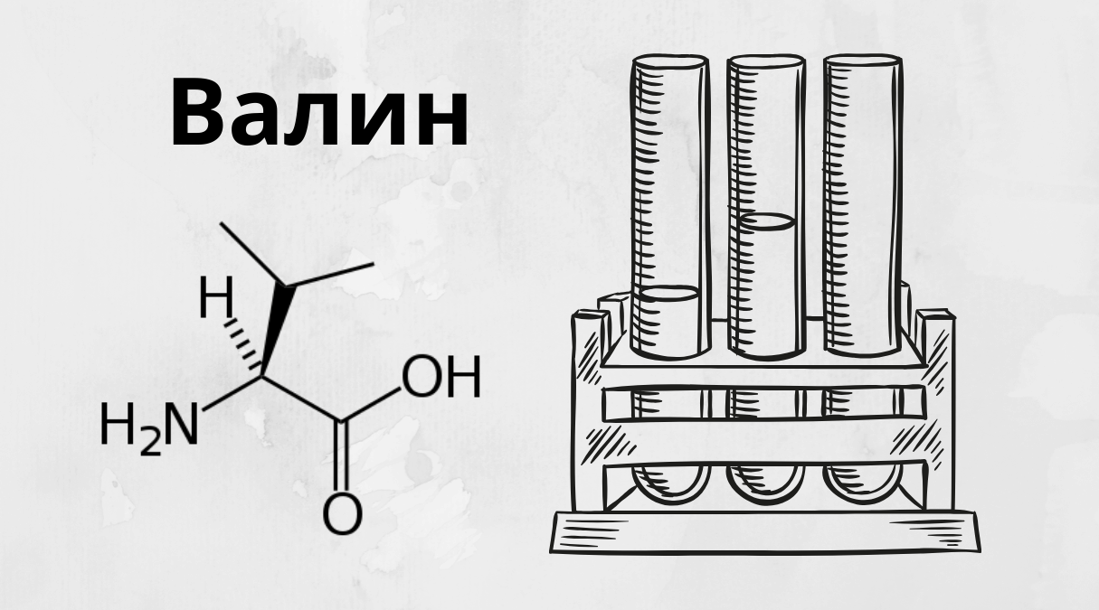 Валин это