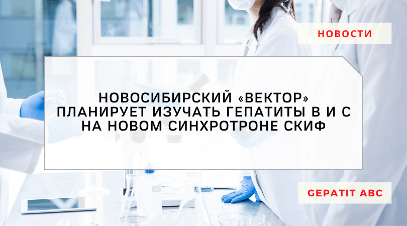 Новосибирский «Вектор» планирует изучать гепатиты В и С на новом синхротроне СКИФ