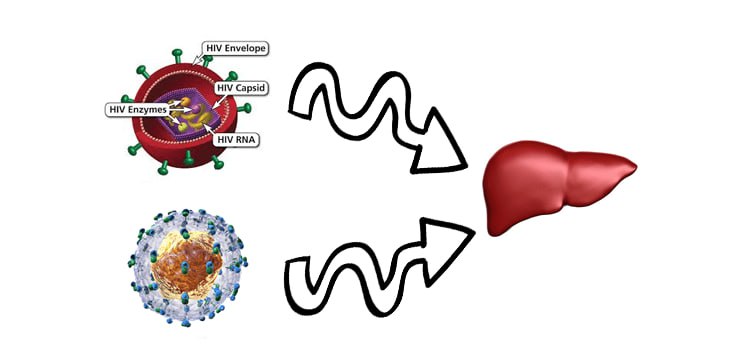 Можно ли вылечить Гепатит С у людей с положительным ВИЧ-статусом?