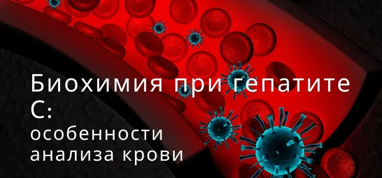 Биохимия при гепатите С: особенности анализа крови