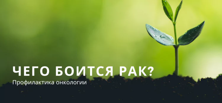 Чего боится Рак? Профилактика онкологии